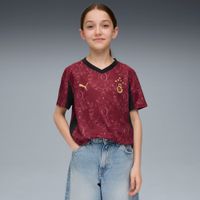 PUMA Galatasaray SK 25/26 Ausweichtrikot Teenager, Kleidung, Rot, 13-14Y