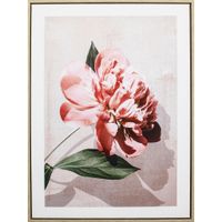 Monee UMELECKÁ TLAČ, kvety, 45/60 cm