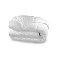 Přikrývka Conforloft 175g/m2