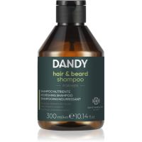 DANDY Beard & Hair Shampoo Shampoo für Haare und Bart 300 ml