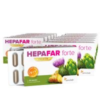 Hepafar forte 12er Pack  (6 Monatspaket) - Mariendistel-Kapseln zur Unterstützung der Leberfunktionen. 100% natürliche Leberentgiftung | Sensilab