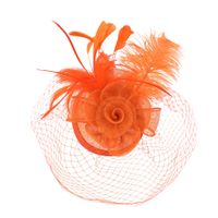 Art Of Polo Woman's Fascinator cz22175