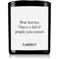 Candly & Co. Dear karma vonná sviečka 250 g
