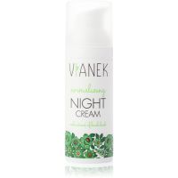 Vianek Normalizing normalisierende Nachtcreme  für normale bis fettige Haut 50 ml