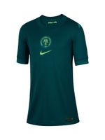 NIKE Tehnička sportska majica 'Nigeria 2025/2026'  zelena / kivi zelena