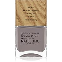 Nails Inc. Vegan Nail Polish dlouhotrvající lak na nehty odstín What's Your Spirituality 14 ml