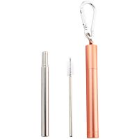 Naturalis Stainless Steel Straw Telescopic set za vsakodnevno uporabo