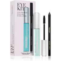 Pierre René Professional Eye Kit poklon set za oči 2 kom