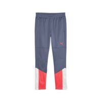 PUMA Sportske hlače 'individualCUP'  siva / krvavo crvena / bijela