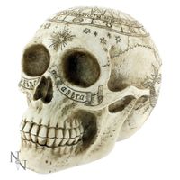 Dekoration Astrologisch Skull