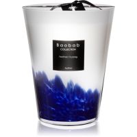Baobab Collection Feathers Touareg aроматична свічка 3000 гр