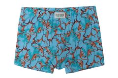 Hugon Boys' Boxer Shorts - Monkey Print