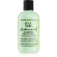 Bumble and bumble Seaweed Shampoo šampon za valovite lase z izvlečki morskih alg 250 ml