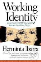 Working Identity (Unconventional Strategies for Reinventing Your Career) - kniha z kategorie Motivace a seberozvoj