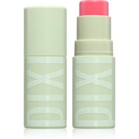 Pixi Tinted Lip Balm vlažilni balzam za ustnice v paličici s hialuronsko kislino odtenek Passion 4.8 g