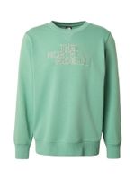 THE NORTH FACE Sweater majica 'DREW PEAK'  bež / zelena