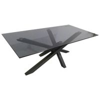 Xora KONFERENČNÝ STOLÍK, sivá, čierna, kov, sklo, 120/60/45 cm