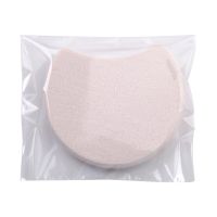 Sensai Cellular Performance Anti-Ageing Foundation Sponge penasti aplikator za tekoči puder 1 kos