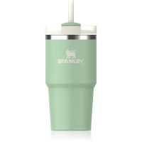 Stanley Quencher H2.O FlowState™ Tumbler Edelstahlbecher mit Trinkhalm klein Pistachio 600 ml