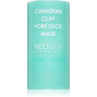 Neogen Dermalogy Canadian Clay Pore Stick Mask hĺbkovo čistiaca maska pre stiahnuté póry 28 g