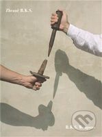 Zbraně B.K.S. - Pablo Augeblau - kniha z kategorie Umění, design a architektura