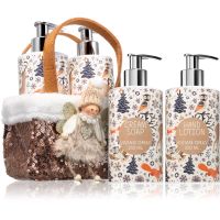 Vivian Gray Bronze Fairy Ylang & Vanilla božični darilni set 2x250 ml