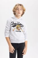 DEFACTO Boy&#39;s Hooded Printed Sweatshirt