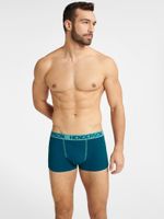 Henderson 40652 Fern A'2 S-3XL multicolor mlc boxer shorts