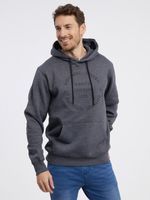 Sam 73 Albus Sweatshirt Grau