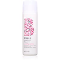 Briogeo Farewell Frizz szampon wygładzający 236 ml