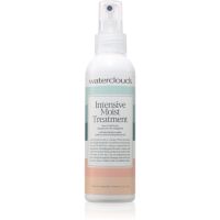 Waterclouds Moist Intensive Treatment ingrijire leave-in pentru par uscat si fragil 150 ml