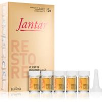 Farmona Jantar Amber Essence pielęgnacja regenerująca zniszczone włosy 5x5 ml