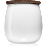 Alessi The Five Seasons Brrr αρωματικό κερί 250 γρ