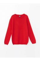 LC Waikiki Lw - Crew Neck Basic Long Sleeve Girl's Knitwear Sweater