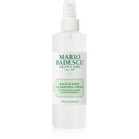 Mario Badescu Back & Body Clarifying Spray spray pentru corp impotriva acneei 236 ml