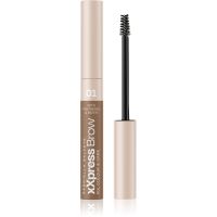 Gabriella Salvete XXPress Brow gel za učvršćivanje za obrve nijansa 01 6 ml