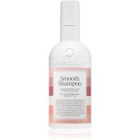 Waterclouds Smooth Shampoo gladilni šampon za neobvladljive lase 250 ml