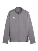 PUMA Sportska jakna 'TeamGoal'  siva / tamo siva / bijela