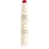 Embryolisse Artist Secret wielofunkcyjny kosmetyk do makijażu oczu, ust i twarzy odcień Intense Red 2.5 g