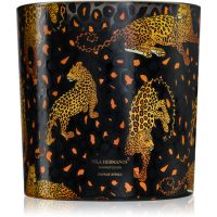 Vila Hermanos Jungletopia Savage Africa świeczka zapachowa 1450 g