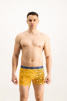 Men's boxers Frogies Zodiac Widder