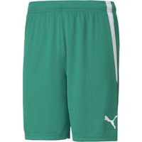 Puma TEAM LIGA SHORTS Мъжки къси шорти, зелено, размер