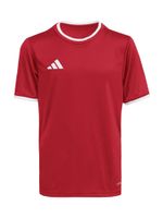 ADIDAS PERFORMANCE Tehnička sportska majica 'Entrada26'  krvavo crvena / bijela