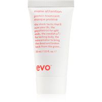 EVO Mane Attention Protein Treatment intensive Maske mit hohem Proteingehalt 30 ml