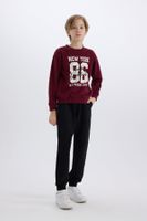 DEFACTO Boy 2-Piece Set Bike Collar Printed Thick Sweatshirt Elastic Waist Tracksuit Bottoms