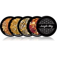 Jungle Way Discovery set Elevate Your Routine kadila