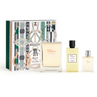 HERMÈS Terre d’Hermès Eau Givrée Geschenkset für Herren 1 St.