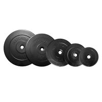 Sada 2x5ks cementových kotoučů inSPORTline CEM 2x 1,25-15 kg 30 mm