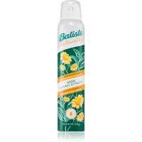 Batiste Naturally Green tea & Chamomile сух шампоан за абсорбиране на излишния себум а освежаване на косата 200 мл.