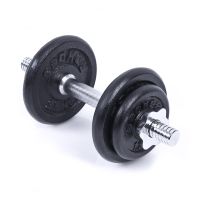 Spokey EGIR Single-handed loading dumbbell, 9.5 kg